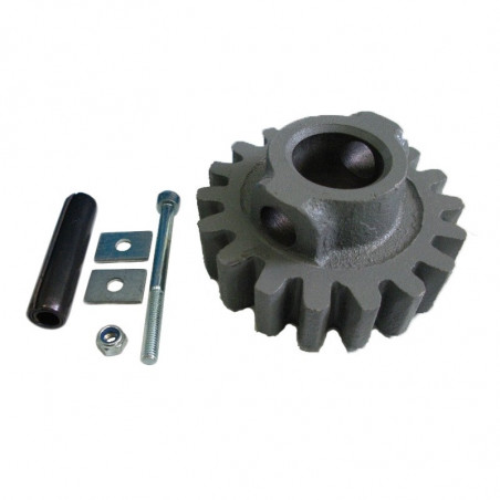 CAME PIGNONE MODULO 4 - BK