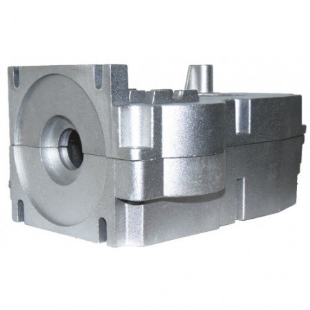 CAME CASSA MOTORIDUTTORE - FERNI