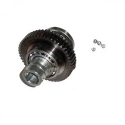 CAME ALBERO LENTO - FERNI