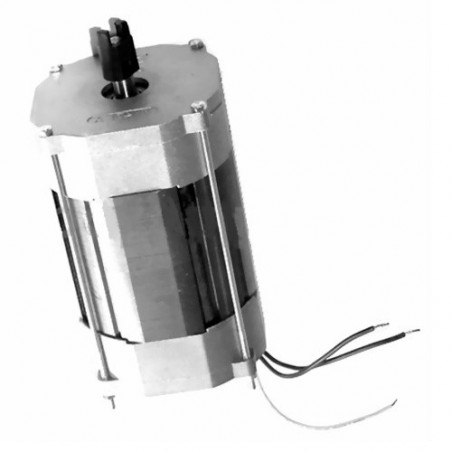 CAME GRUPPO MOTORE - A3000 A3100 A5000 A5100