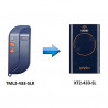TELECOMANDO RADIOCOMANDO ORIGINALE FAAC 2 TASTI 433MHz XT22 433 SL EX MODELLO TML2-433-SLR