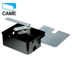 CAME CASSA DI FONDAZIONE TRATTAMENTO CATAFORESI 001FROG-CF