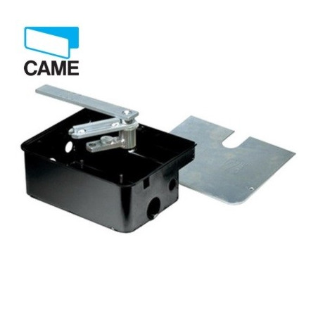CAME CASSA DI FONDAZIONE IN ACCIAIO FROG PLUS 001FROG-PC