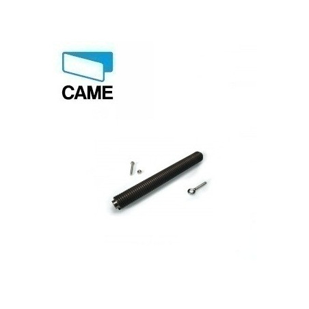 CAME MOLLA DI BILANCIAMENTO DIAMETRO 55M 001G06080