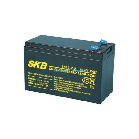 FIAMM BATTERIA AL PIOMBO 12V 7,2 Ah SB1270