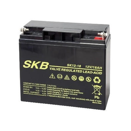 FIAMM BATTERIA AL PIOMBO 12V 18Ah SB1217