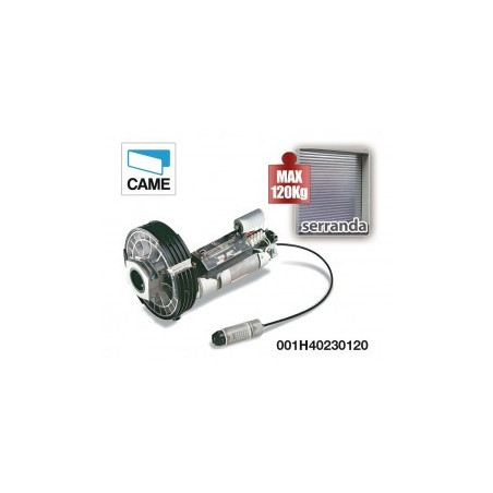 CAME MOTORIDUTTORE IRREVERSIBILE PER SERRANDE COMPLETO DI SBLOCCO A CORDINO 001H40230120